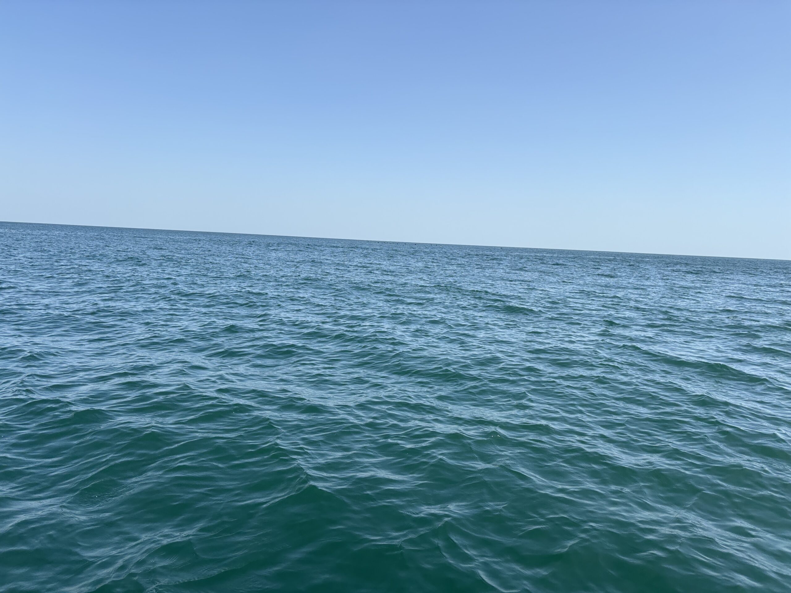 IMG_7132 海