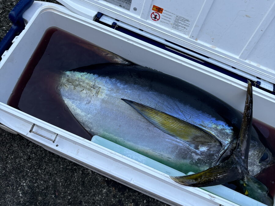 海のボート釣り　オーナー様釣果