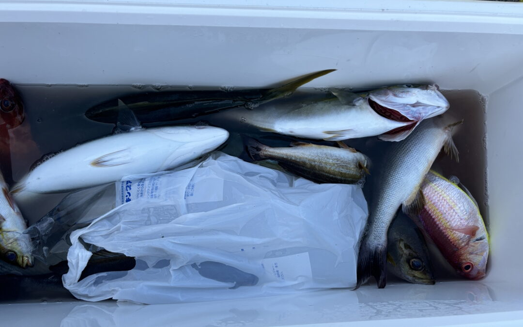 海のボート釣り　オーナー様釣果