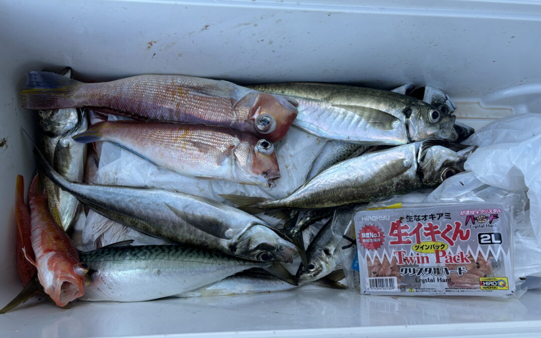 海のボート釣り　オーナー様釣果
