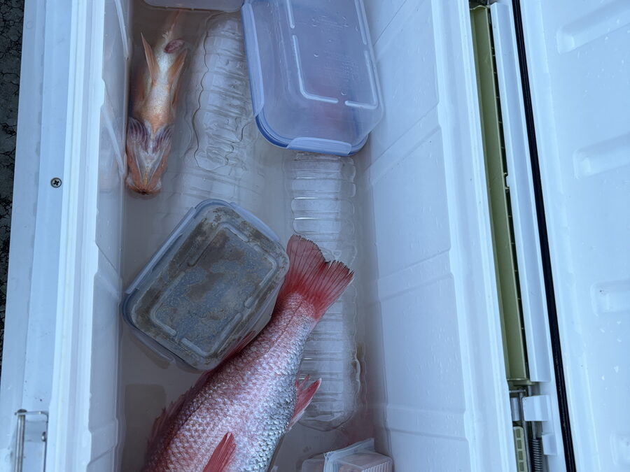 海のボート釣り　オーナー様釣果