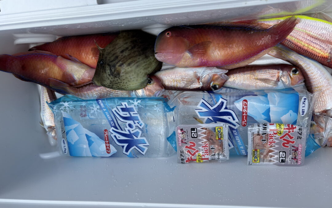 海のボート釣り　オーナー様釣果