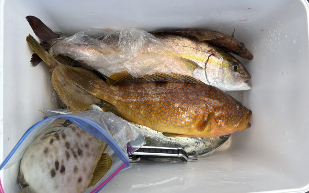 海のボート釣り　オーナー様釣果