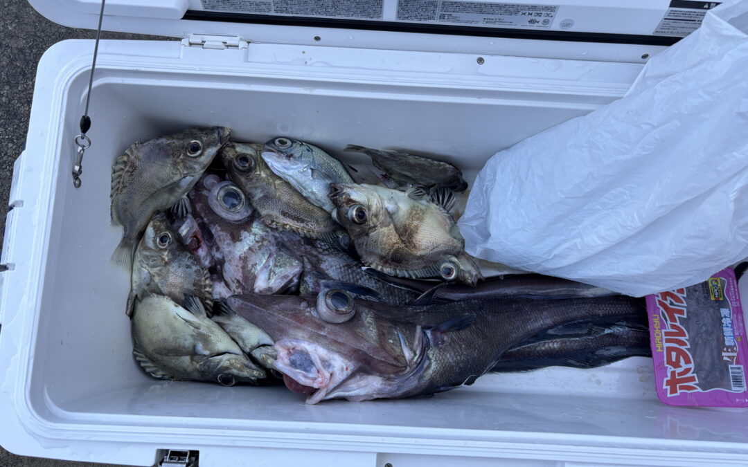 海のボート釣り　オーナー様釣果