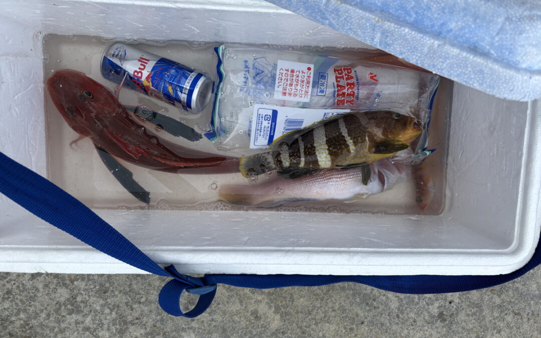 海のボート釣り　オーナー様釣果