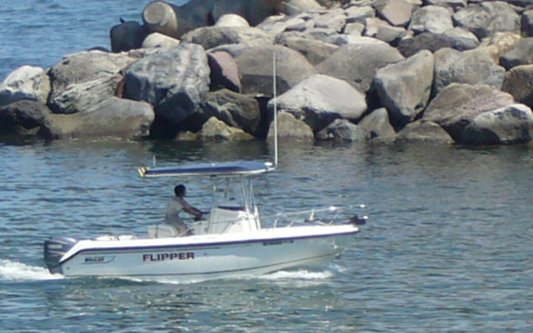 ”あの頃”の伝説”が育てた今